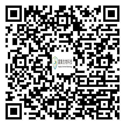 手機端瀏覽網(wǎng)站